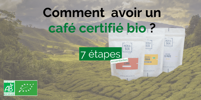Comment un café est certifié bio ? (7 étapes à respecter)