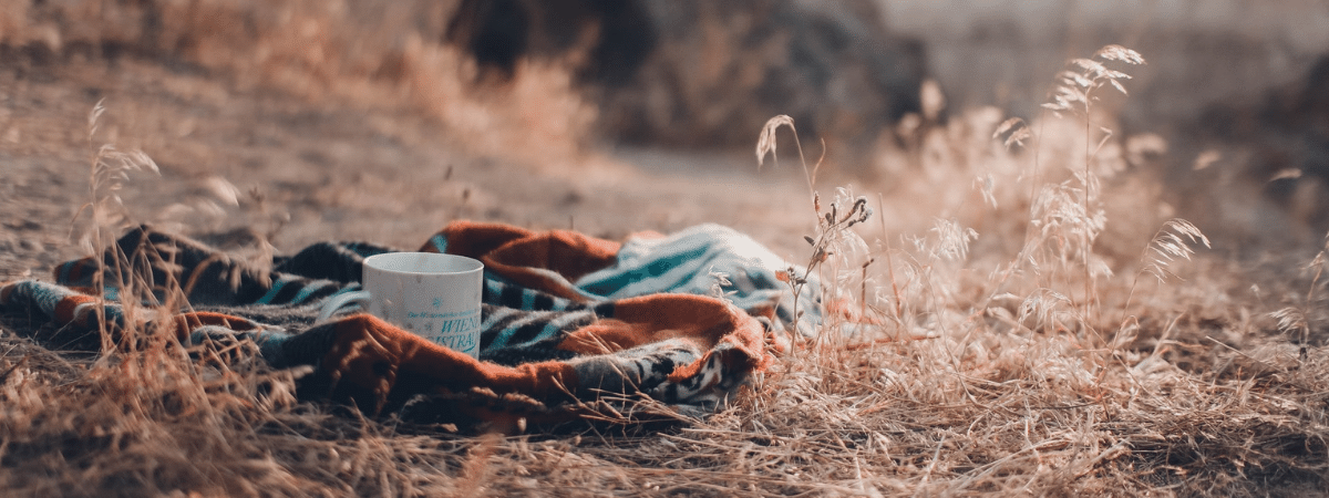 café salvador dans champs Image