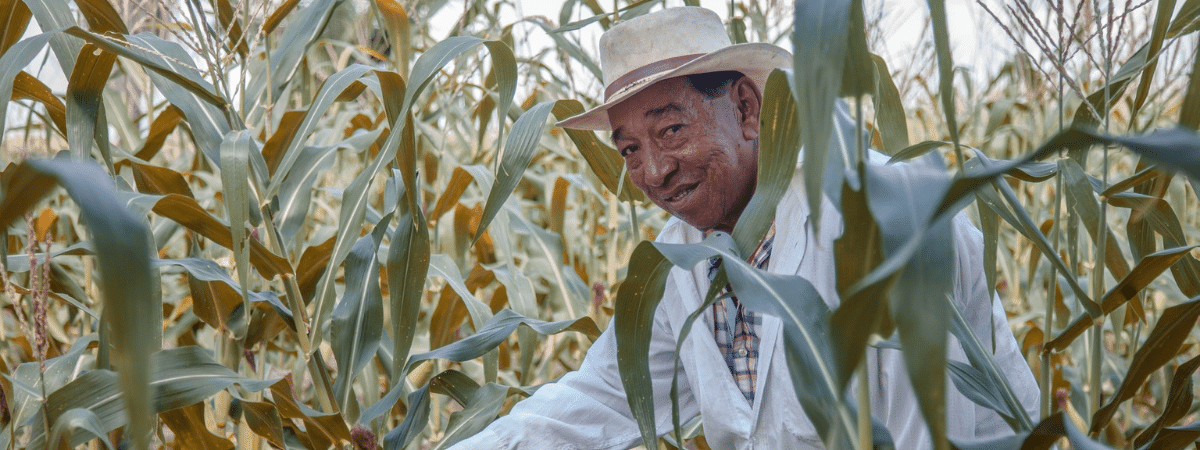 Café de Colombie - Origine, histoire et culture Image