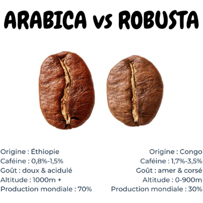 13 différences entre le café Arabica et le café Robusta