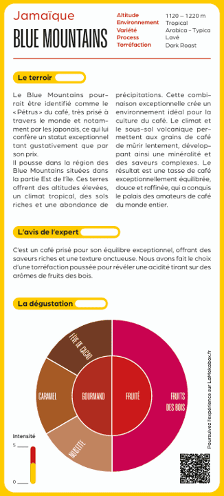 Blue Mountain - Jamaïque - Grand cru GRAIN - 100 g