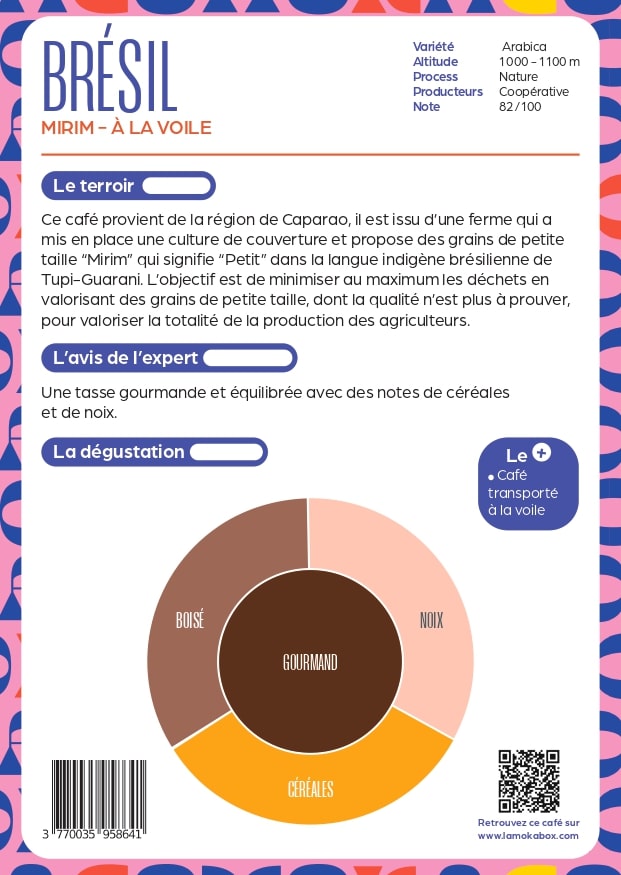 Brésil à la Voile - BIO