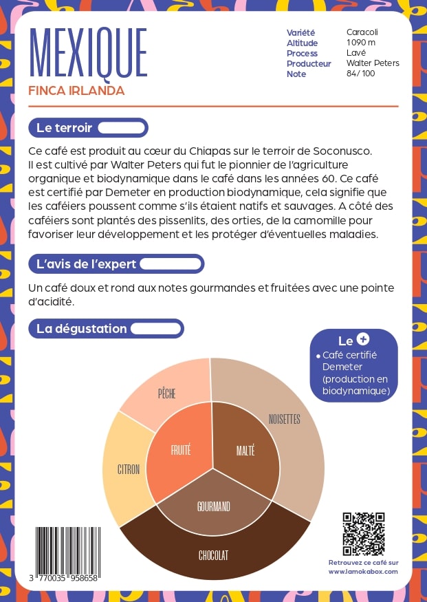 Mexique - BIO & AGROFORESTERIE