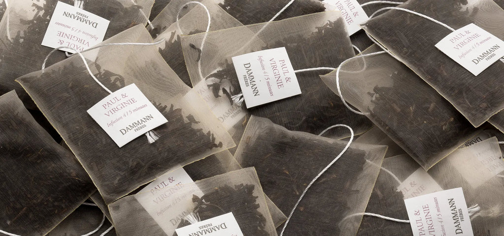 Sachets Thé Dammann paul virginie x25