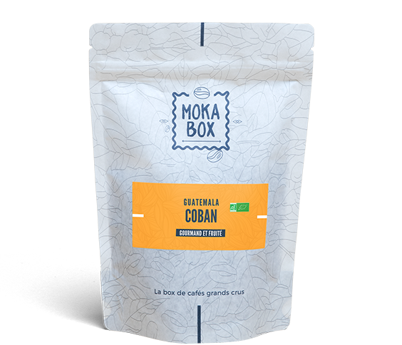 Abonnement Découverte - 12 Mois